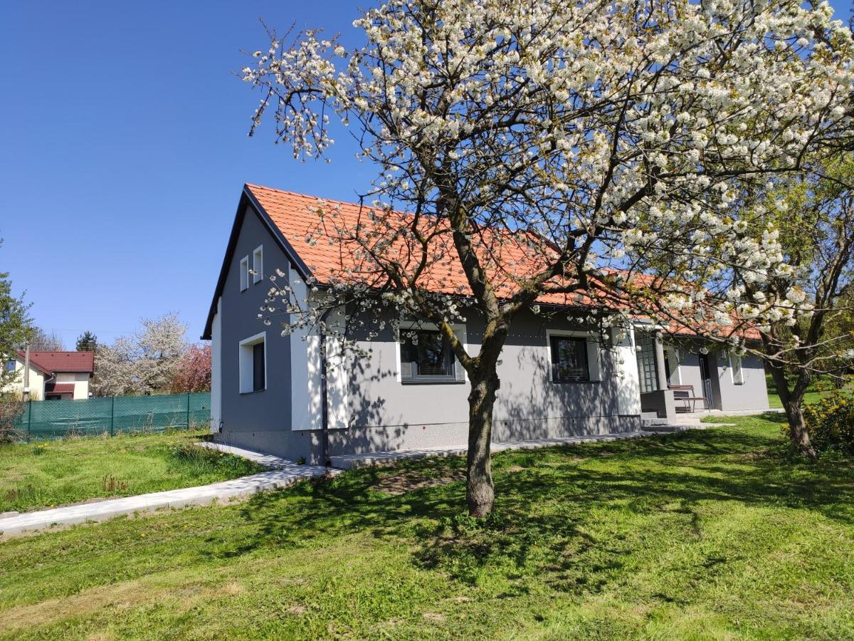 Villa Venkovsky Dum Dolni Prim Esterno foto